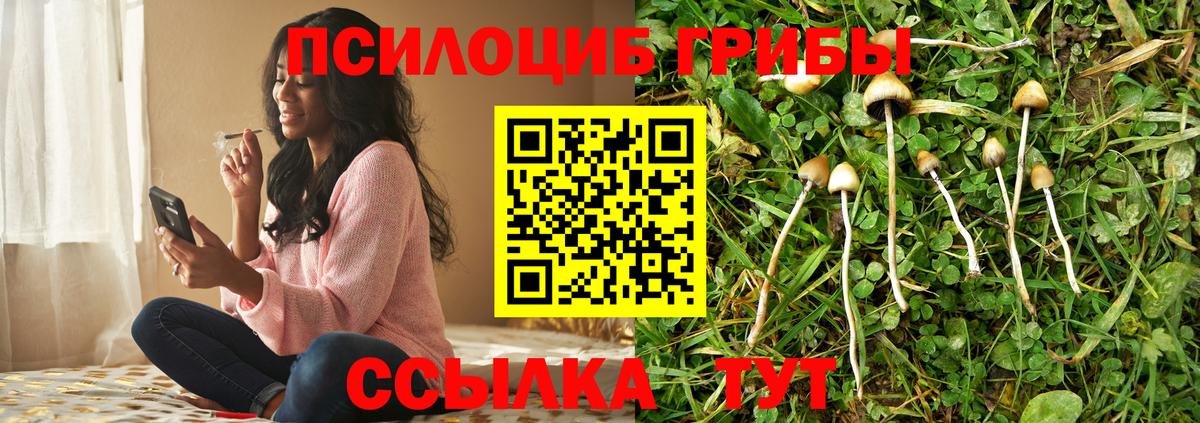 Псилоцибиновые грибы GOLDEN TEACHER  Вход с VPN  Чебаркуль 